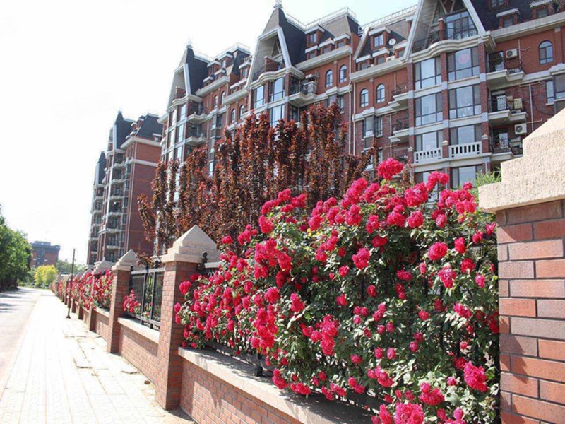 玫瑰御园,蓝靛厂南路-北京玫瑰御园二手房,租房,房价-北京安居客