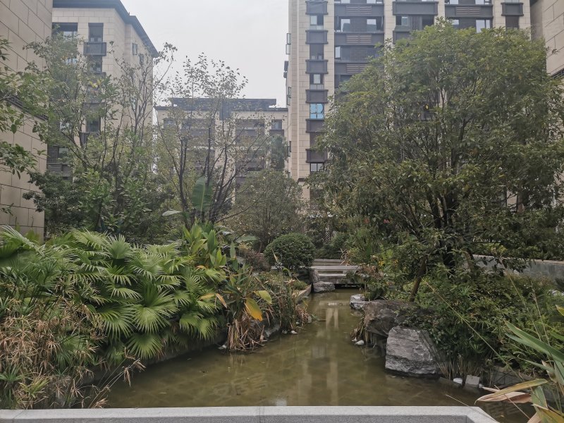 荣盛滨江华府,巴滨路120号-重庆荣盛滨江华府二手房,租房,房价-重庆