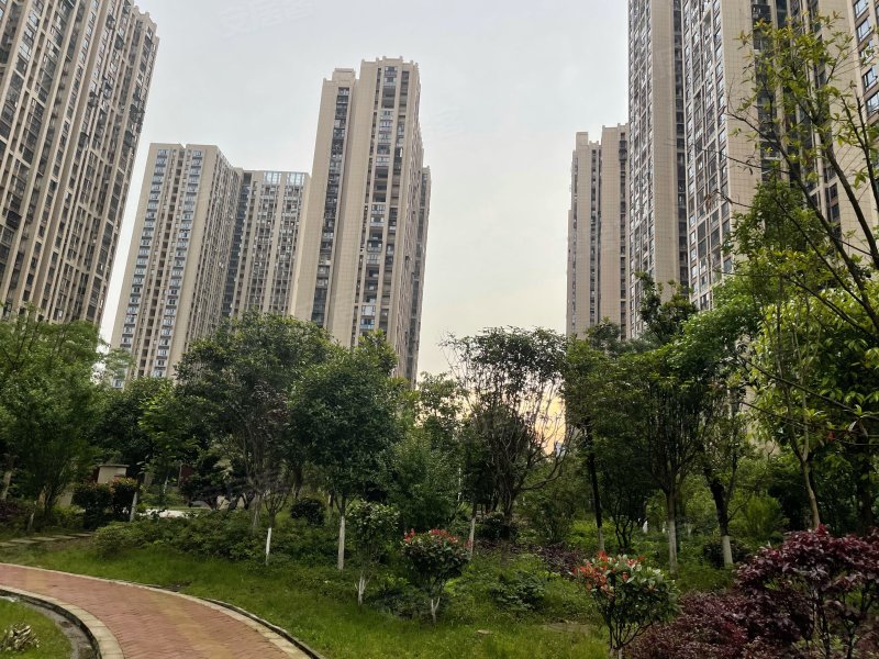 国泰九龙湾,东三路118号-长沙国泰九龙湾二手房,租房,房价-长沙安居客