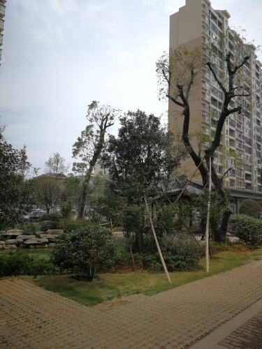 银谷西苑,护城路2号 - 澧县银谷西苑二手房,租房,房价-澧县安居客