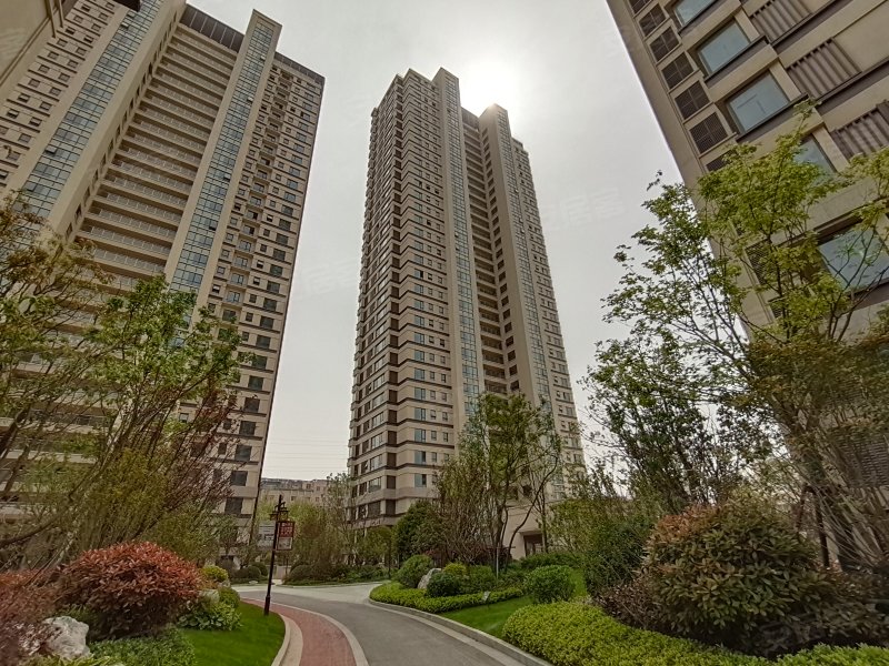 荣盛兰凌御府a区,兰陵路-蚌埠荣盛兰凌御府a区二手房,租房,房价-蚌埠