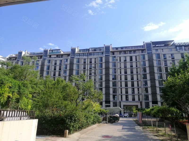 柏林爱乐(一期)