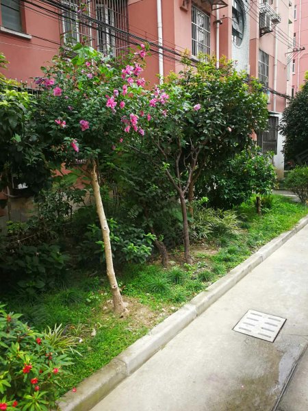 虹莘新村(南区) 