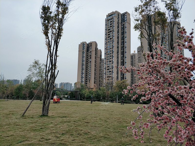 保利拉斐云邸,翡翠南路133号,叠秀路1099号-成都保利拉斐云邸二手房