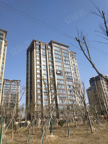 绿洲麒麟府,开放大道,近兴阳路 - 射阳绿洲麒麟府二手房,租房,房价