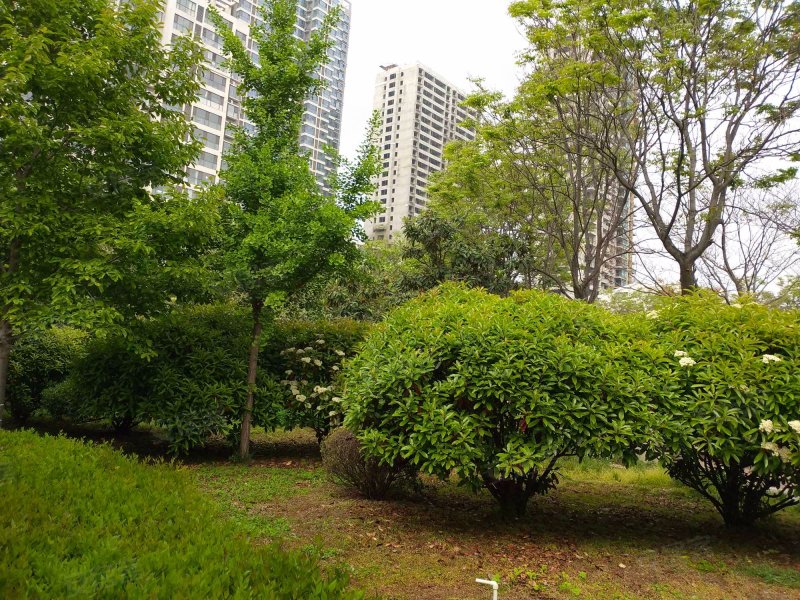 沂河花园(兰山),中丘路4号-临沂沂河花园(兰山)二手房,租房,房价-临沂