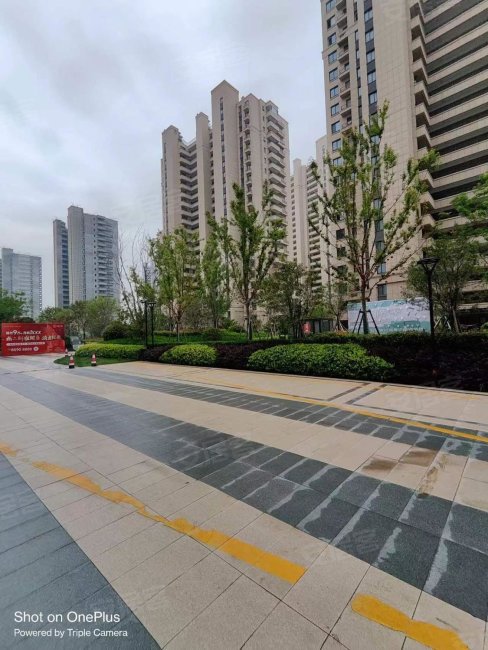 弘阳公园大道3室0厅0卫