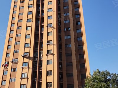 松南城金欣雅苑小区图片相册,上海松南城金欣雅苑实景图,室外图,小区