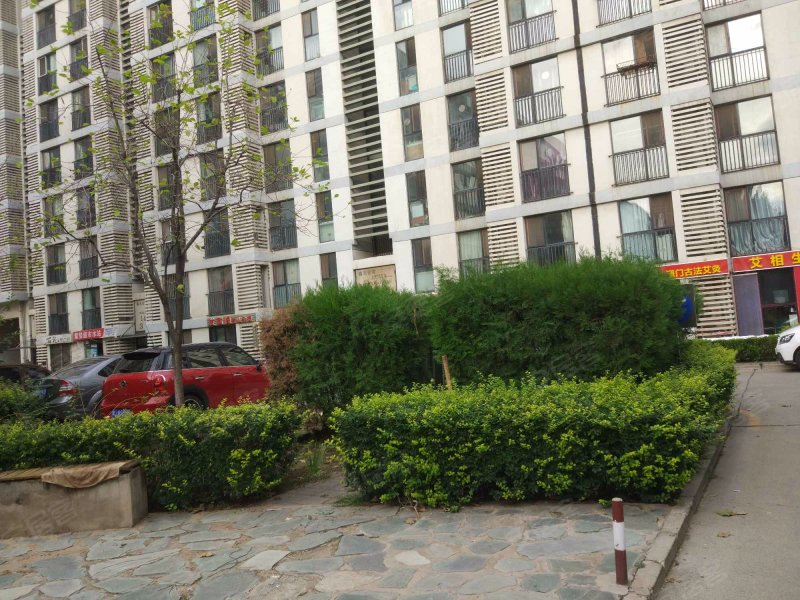 柏林爱乐(四期)