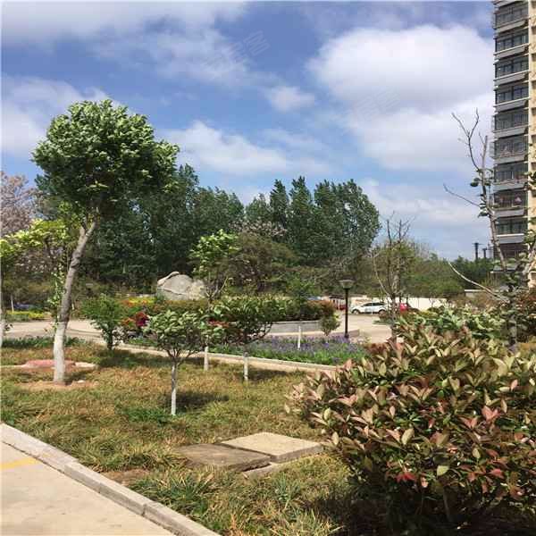绿地蔚蓝城,长城路-泰安绿地蔚蓝城二手房,租房,房价-泰安安居客