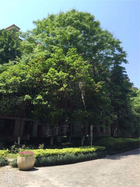 紫金公寓,古墩路242号-杭州紫金公寓二手房,租房,房价-杭州安居客