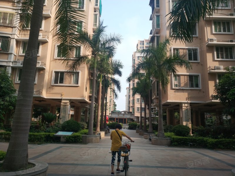 新景花园,龙溪路8号-汕头新景花园二手房,租房,房价-汕头安居客