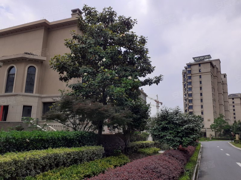 滨江稽山翡翠园,二环南路-绍兴滨江稽山翡翠园二手房,租房,房价-绍兴