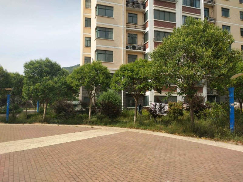 海滨花园(北区),北固山路-连云港海滨花园(北区)二手房,租房,房价