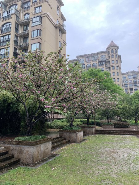 派舍提香,坝头西路305号-宁波派舍提香二手房,租房,房价-宁波安居客