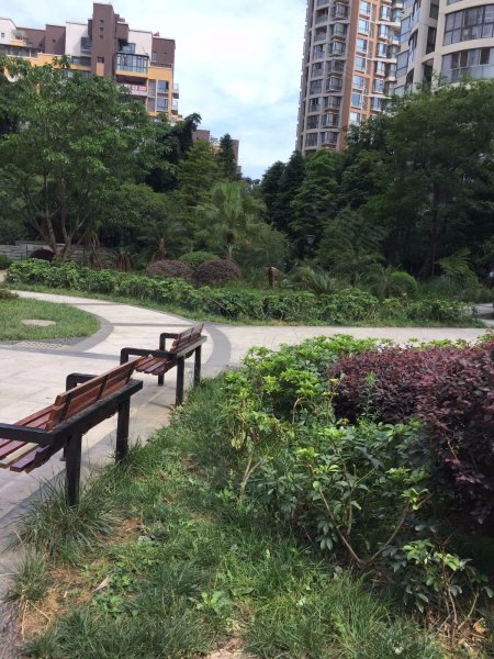 锦上城,公园路一段189号-成都锦上城二手房,租房,房价-成都安居客