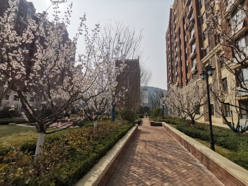 中海国际社区紫御公馆,九曲庄路-济南中海国际社区紫御公馆二手房