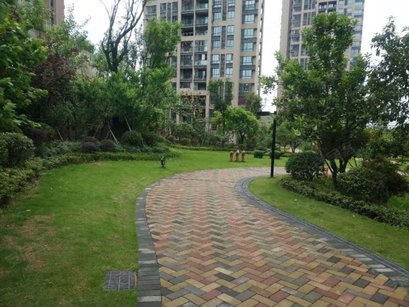 桃源居国际花园七区