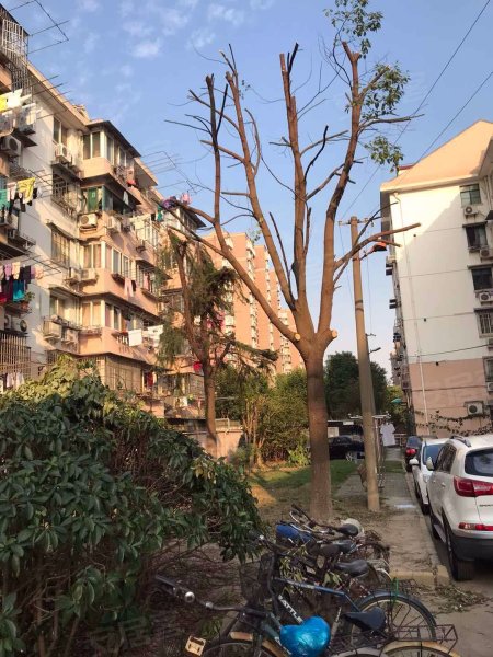 绿川小区(东区) 