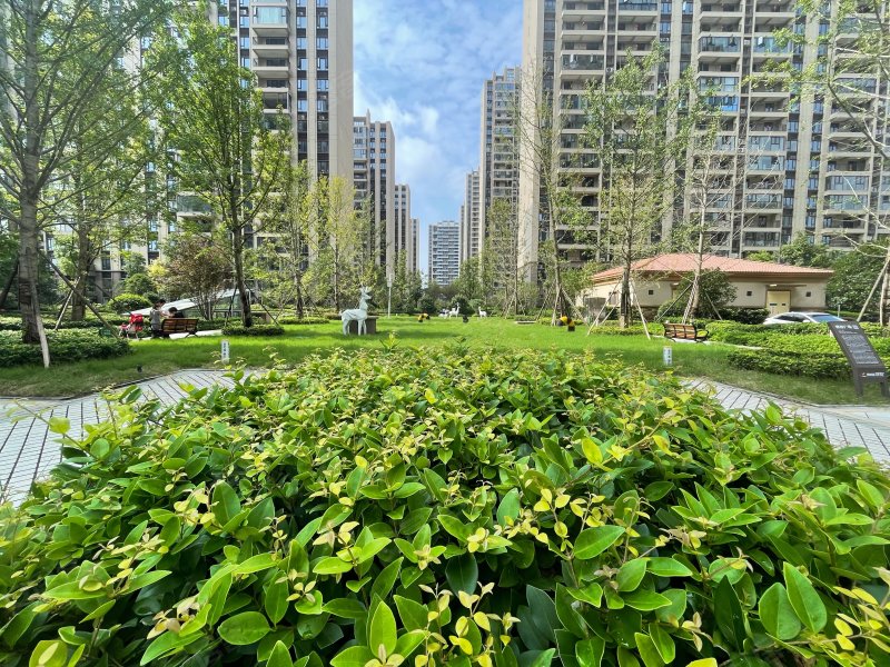 碧桂园珑悦,棉原路-潜江碧桂园珑悦二手房,租房,房价-潜江安居客