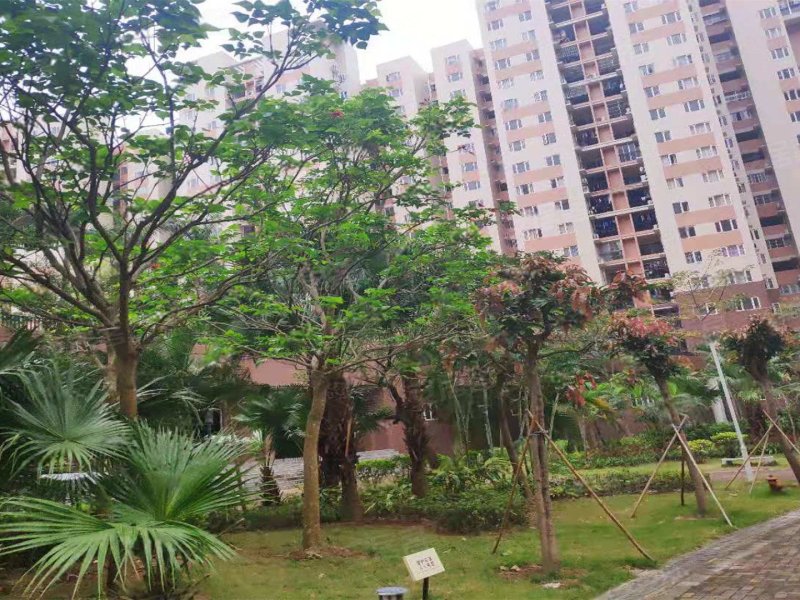 龙光金湾花园,中兴二路-惠州龙光金湾花园二手房,租房,房价-惠州安居