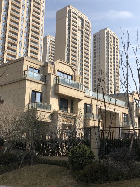 大江东宝龙广场(别墅)