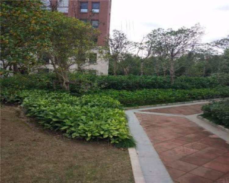 尼德兰官邸(别墅)