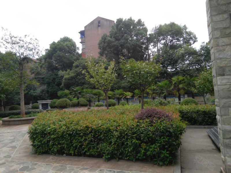 瑞都华庭,香樟路111号-长沙瑞都华庭二手房,租房,房价-长沙安居客