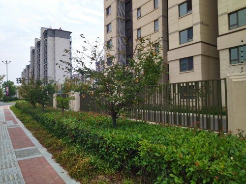 珑玥名邸,四望路88号 - 南京珑玥名邸二手房,租房,房价-南京安居客