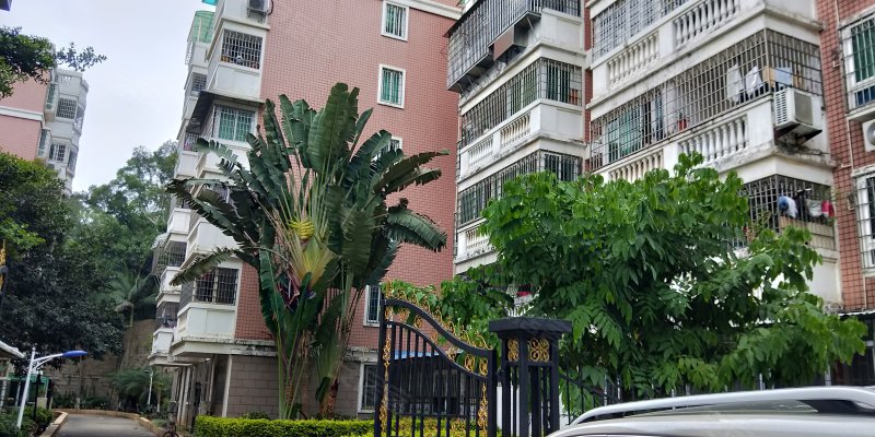 半山豪庭,南山路542-558号-厦门半山豪庭二手房,租房,房价-厦门安居客