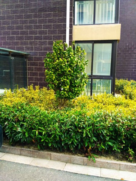 康居新城(东苑)