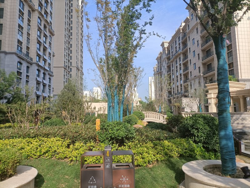 瑞马名门(兖州)