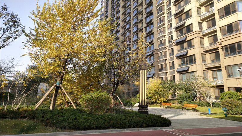 荣盛观邸,丛台东路-邯郸荣盛观邸二手房,租房,房价-邯郸安居客