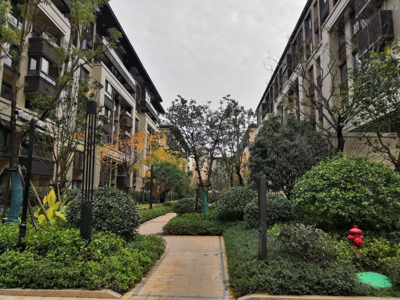 万科溪望(公寓住宅),文二西路,近环岛路-杭州万科溪望(公寓住宅)二手