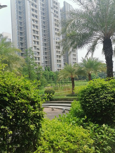 侨雅苑(花都),侨南二路-广州侨雅苑(花都)二手房,租房,房价-广州安居