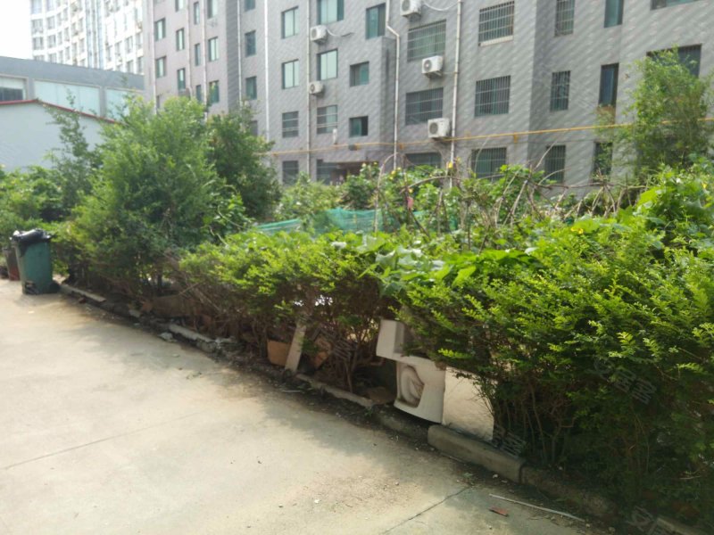 丰泽家园,济洛路61号-衡水丰泽家园二手房,租房,房价-衡水安居客