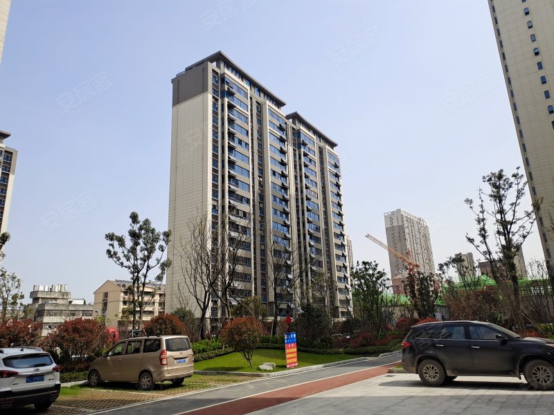 碧桂园黄金时代