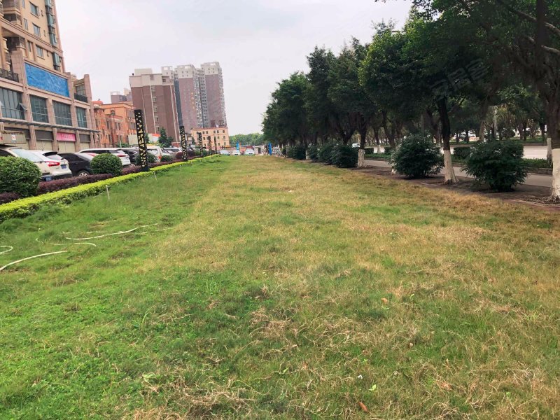 富城御园,茂南大道-茂名富城御园二手房,租房,房价-茂名安居客