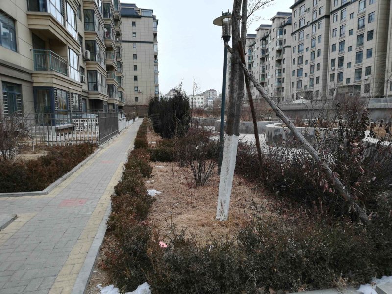 金海湾小区,金马路6号-大连金海湾小区二手房,租房,房价-大连安居客