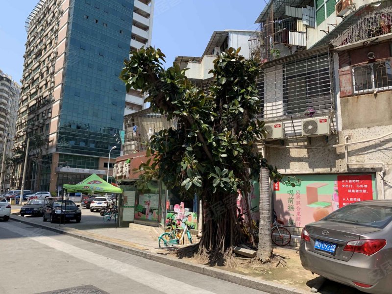 长青路250-253号小区,长青路250-253号-厦门长青路250-253号小区二手