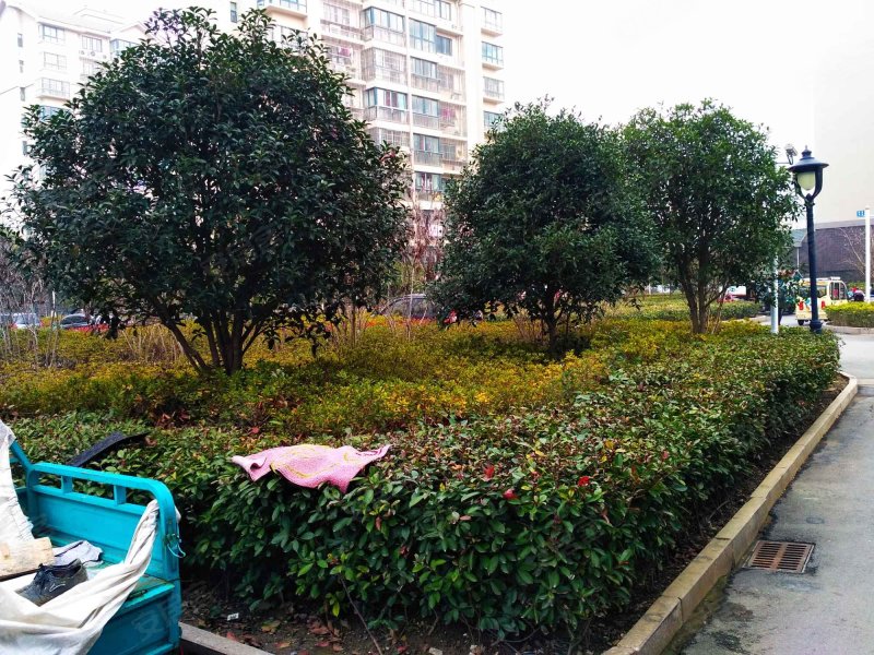 康居新城(西苑),白野线-泰州康居新城(西苑)二手房,租房,房价-泰州