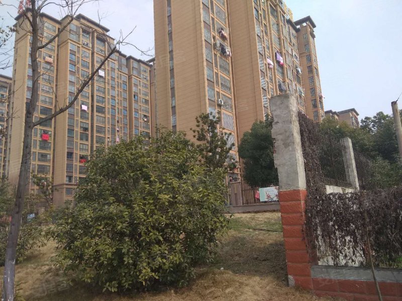 金城华府,醉翁路,近永乐南路-滁州金城华府二手房,租房,房价-滁州安居