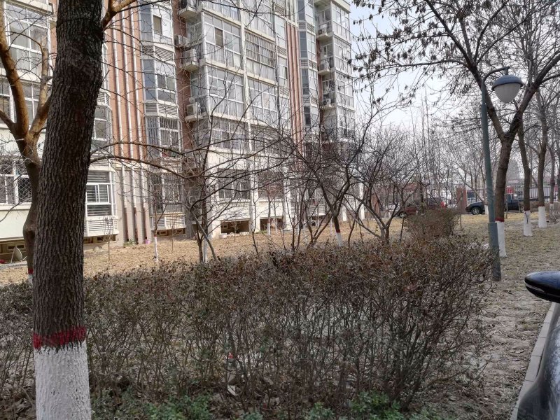 学府花园,永安南大道-沧州学府花园二手房,租房,房价-沧州安居客