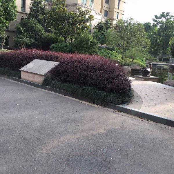 水墨兰庭(北区),南二环路1550号-合肥水墨兰庭(北区)二手房,租房,房价