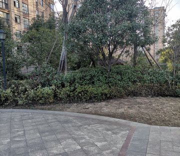 振兴中央公馆