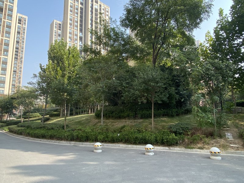 森林半岛(南区),一大街-开封森林半岛(南区)二手房,租房,房价-开封