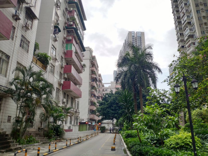 金羊花园,中山一路53-1号-广州金羊花园二手房,租房,房价-广州安居客