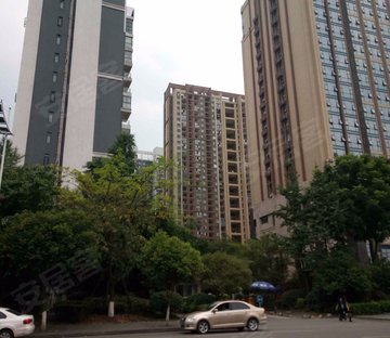 珠江国际花园