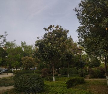 厚载巷22号小区