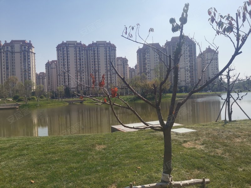 香江健康小镇,宝白公路-天津香江健康小镇二手房,租房,房价-天津安居